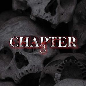 CHAPTER 3.