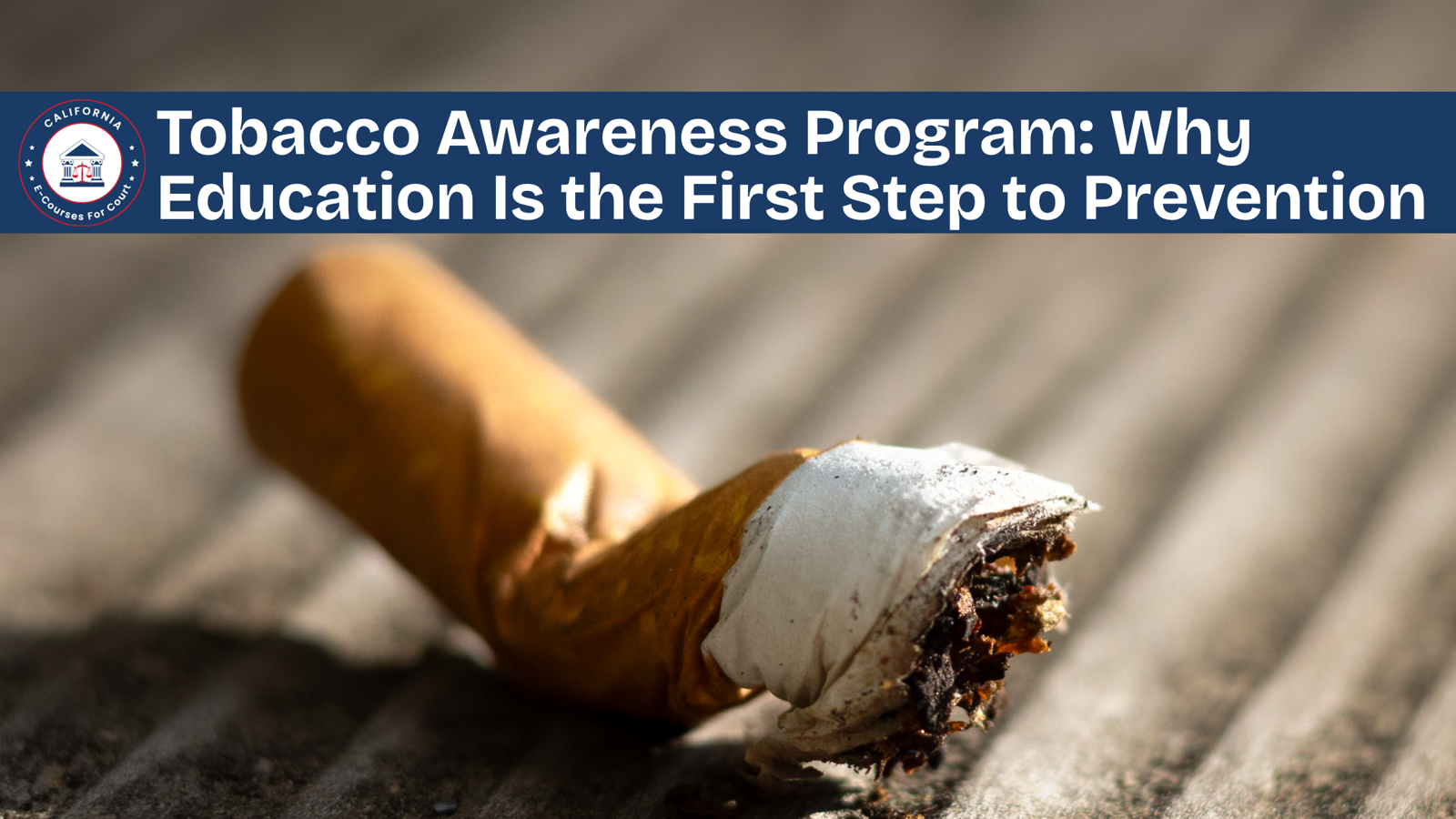 Tobacco Awareness Program: Why Education Is the First Step to Prevention