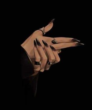 the_wild_one logo