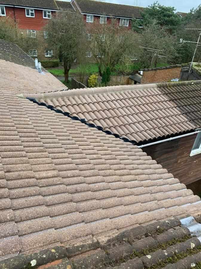 Say Goodbye to Moss: Roof Moss Removal Specialists at Your Service!