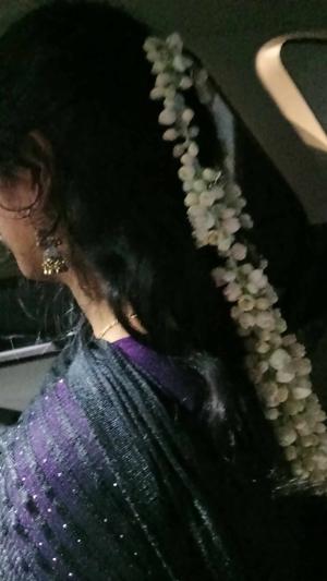 Hummin--Bird--love  logo