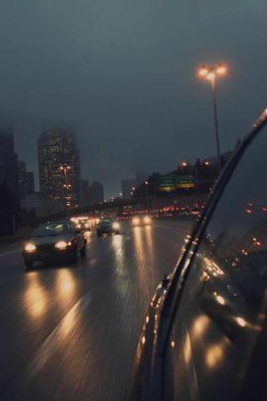 Hummin--Bird--love  logo