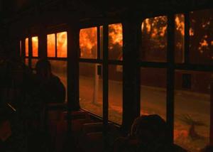 Hummin--Bird--love  logo