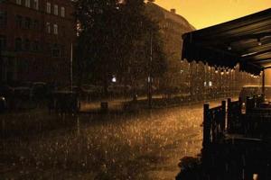 Hummin--Bird--love  logo