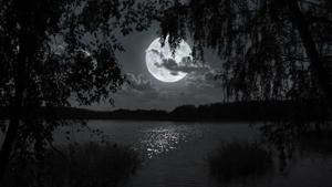 Chapter 1: Beneath the Moonlit Promise