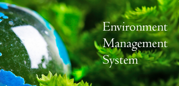 ISO 14001 Training: A Complete Guide to Environmental Management Excellence