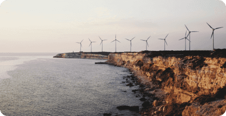 Empowering Profitability: Unleashing the Potential of Margin Management