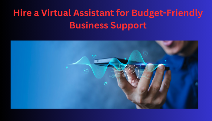 Hire a Virtual Assistant for Budget-Friendly Business Support