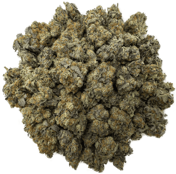 Citrus Crush Strain - WTF Cannabis