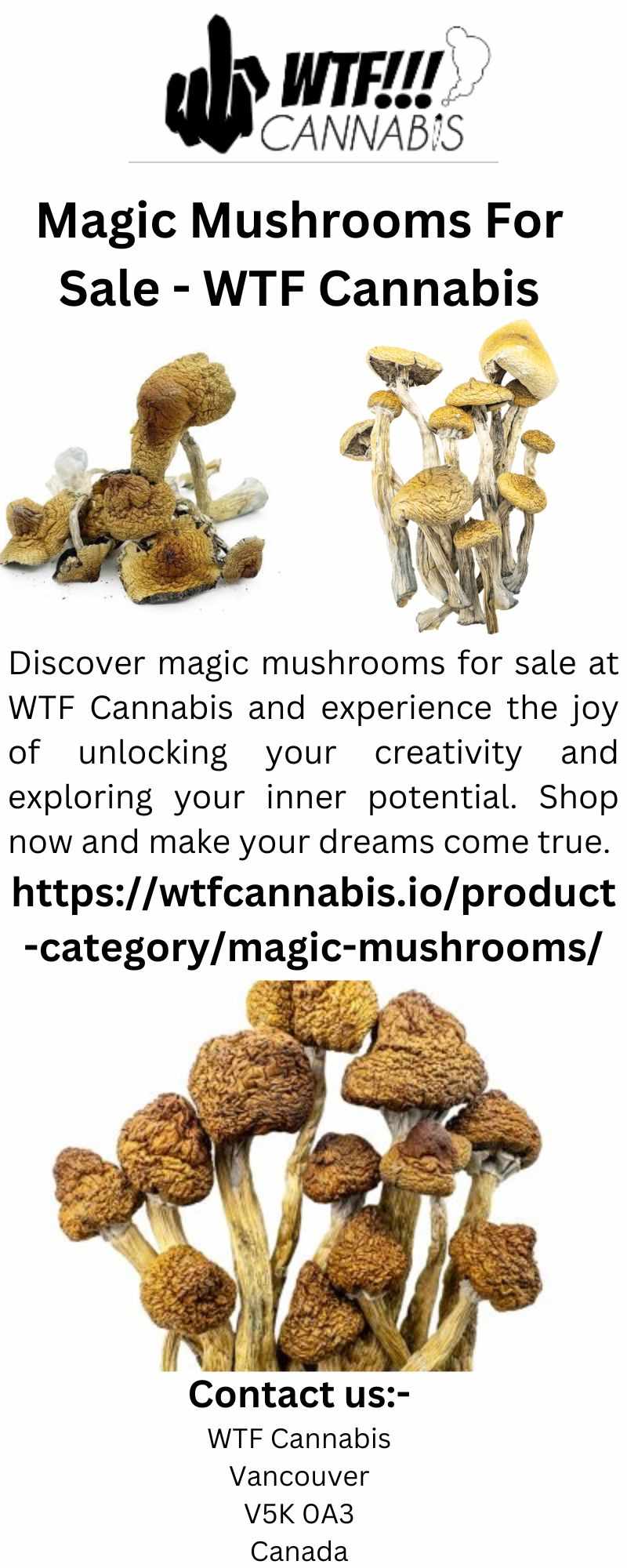 Magic Mushrooms For Sale - WTF Cannabis