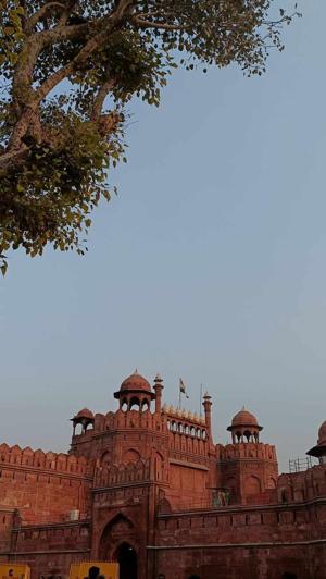 39. Friend in Delhi