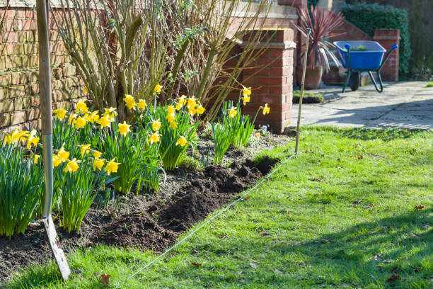 Most gardens don’t fail because of plants… they fail before planting even starts