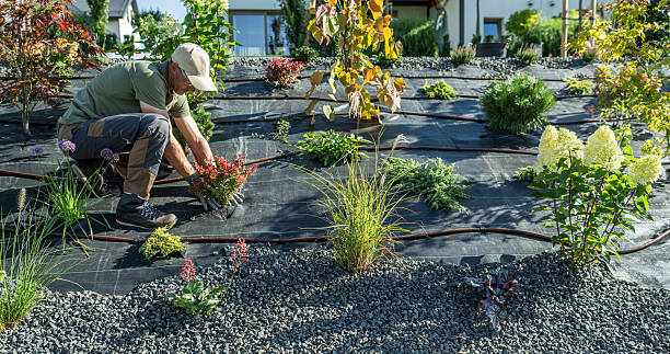 Most people don’t fail at gardening because they’re lazy… they fail because they skip the thinking part