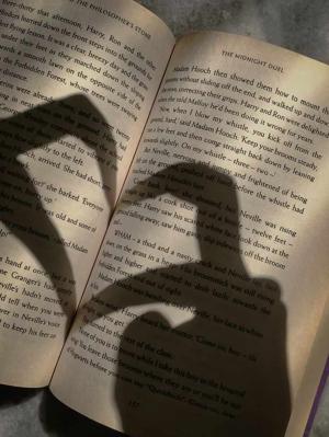  𝔏𝔬𝔱𝔲𝔰 𝔴𝔯𝔦𝔱𝔱𝔢𝔯🪷✨ logo