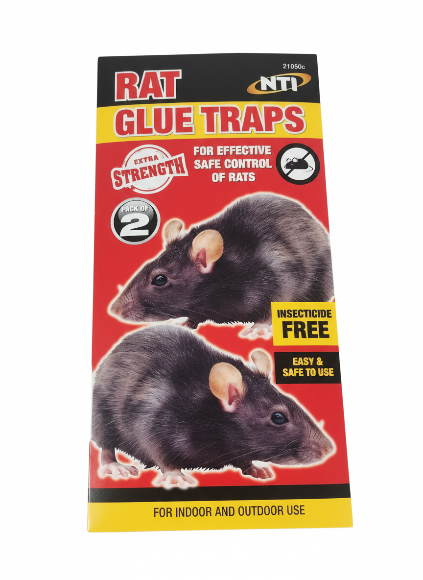 Mouse Traps and Lantern Fly Zapper Solutions in Omagh
