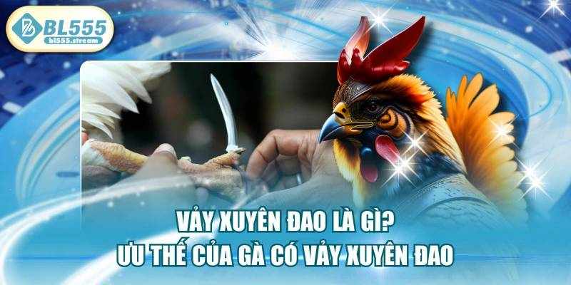 Vảy Xuyên Đao Là Gì Và Cách Đánh Giá Thực Tế
