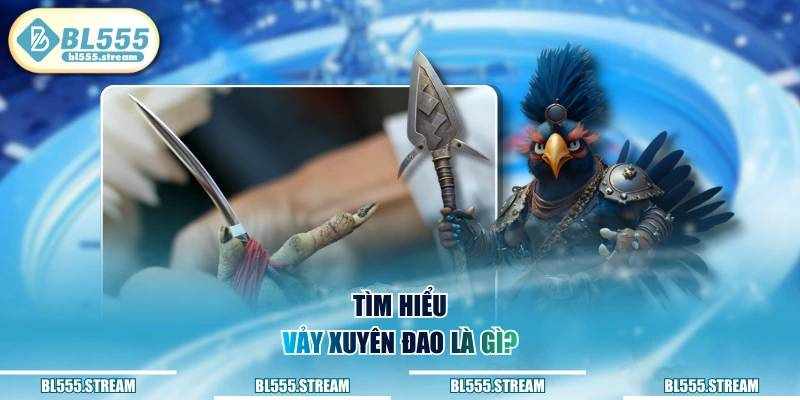 Cách Nhận Biết Vảy Xuyên Đao Trong Giới Gà Chọi Và Điểm Đến Uy Tín BL555