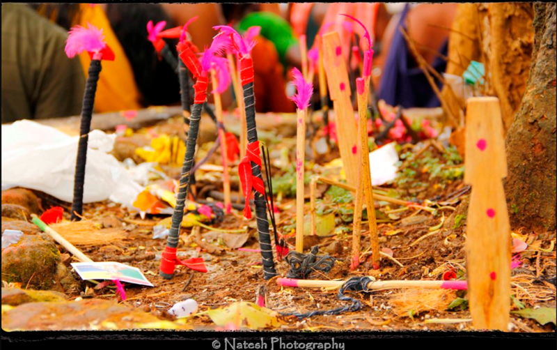 Makara Sankranti.