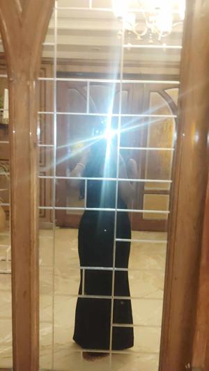 Lunara🌜 logo