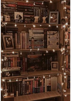 Chapter 12: Book Shelf🌺