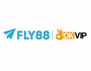 fly88seocom2