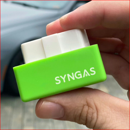SynGas OBD Fuel Saver Germany