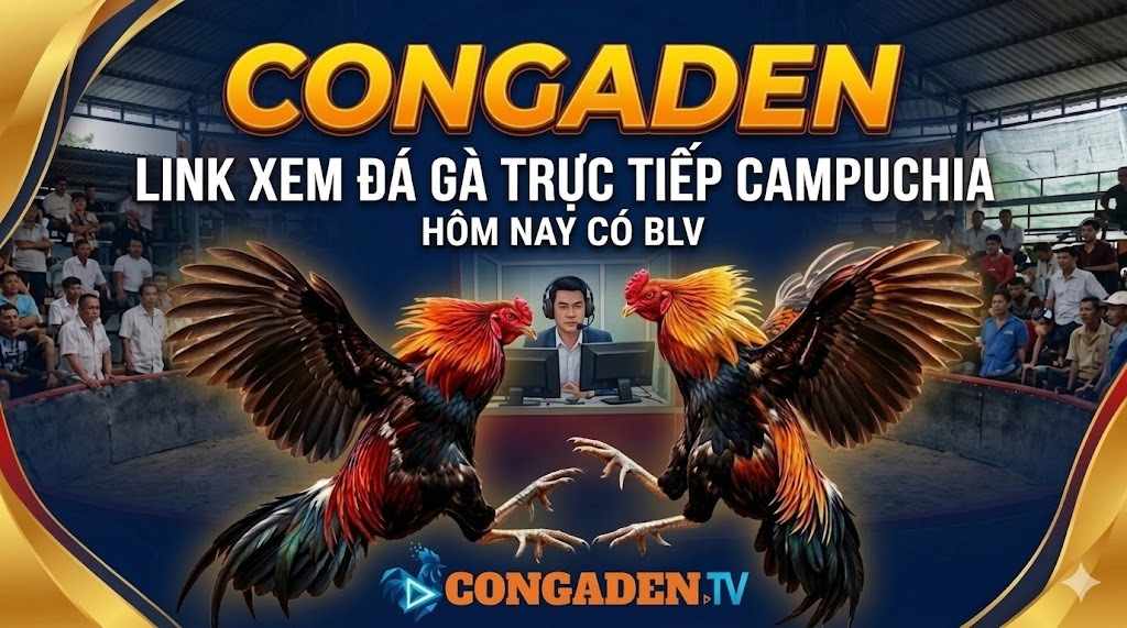CONGADEN Và Xu Hướng Đá Gà Trực Tiếp Trên Mobile