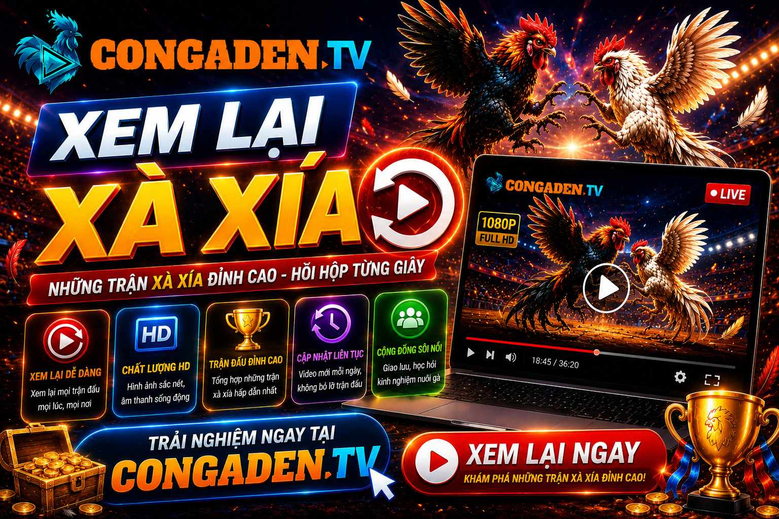 Xem Lại Xà Xía - Theo Dõi Các Trận Đá Gà Trực Tiếp Nổi Bật