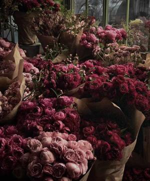 Unnati Aggarwal logo