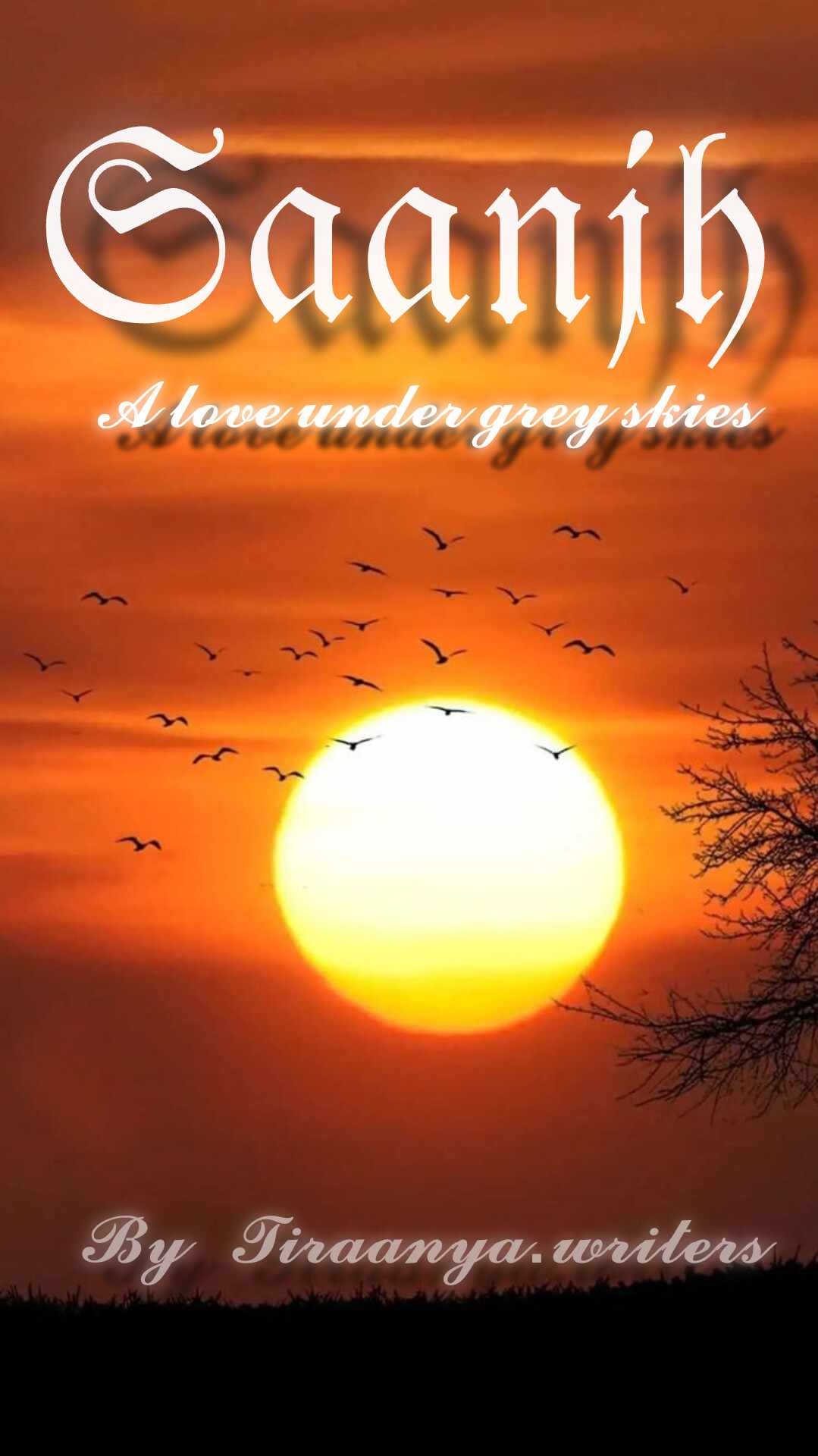 Saanjh : A Love Under Grey Skies