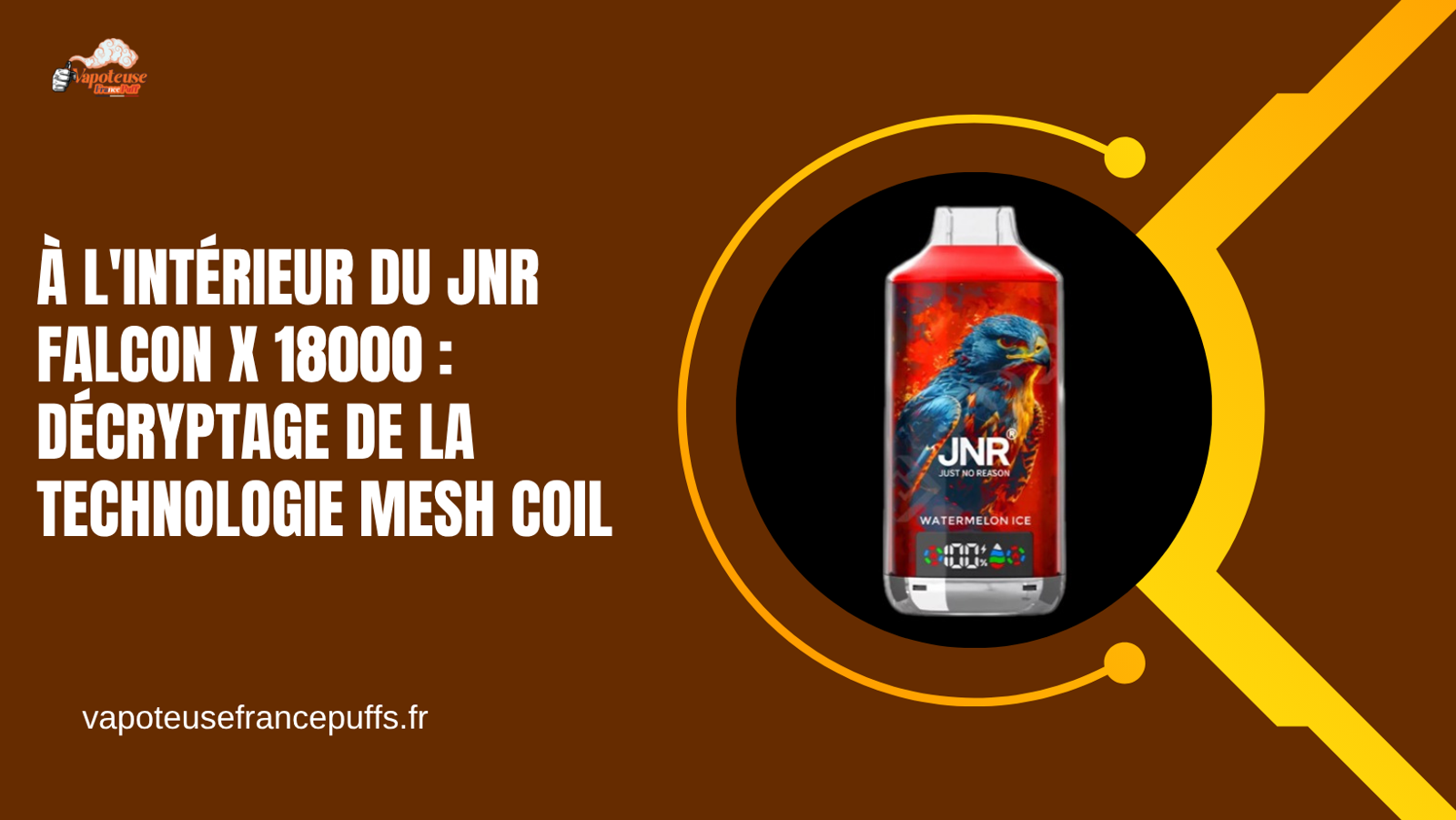 À l'Intérieur du JNR Falcon X 18000 : Décryptage de la Technologie Mesh Coil