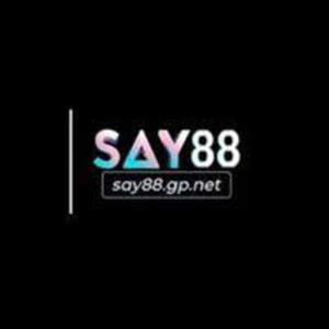 Say88  gbnet