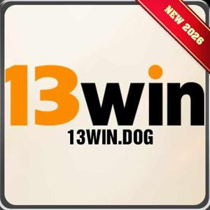13windog logo