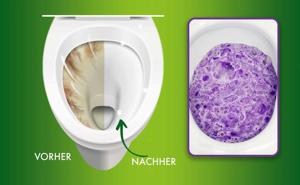 FizzClean Toilet Cleaning Foam Germany