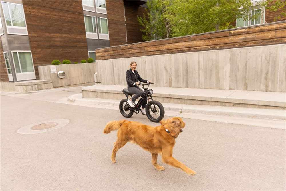 The Future of Travel: Why Ebikes are Taking Over