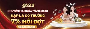 6623ainnet