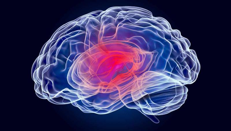 NeuroMD+ Capsules Canada Official – Powerful Formula for Nerve Repair