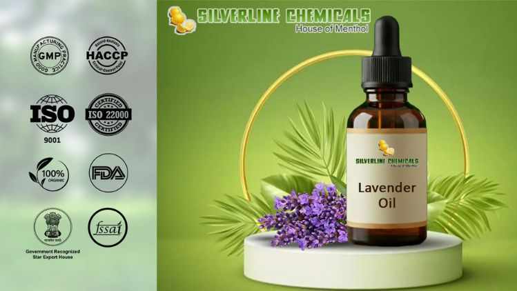 Best Lavender Oil Manufacturers for Aromatherapy, Cosmetics, and Pharma Use