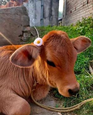 β’β’~MUST READ DISCLAIMER~β’β’