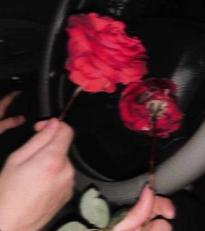 Chapter : 12 - Roses 🌷