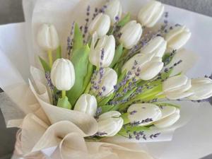Chapter : 39 - Tulip 🌷