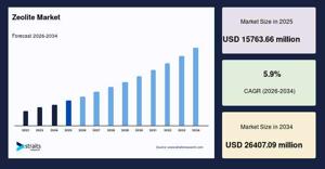 Zeolite Market Competitive Landscape and Growth Opportunities