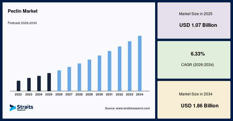 Pectin Market Outlook 2034: Industry Trends, Opportunities and Competitive Analysis
