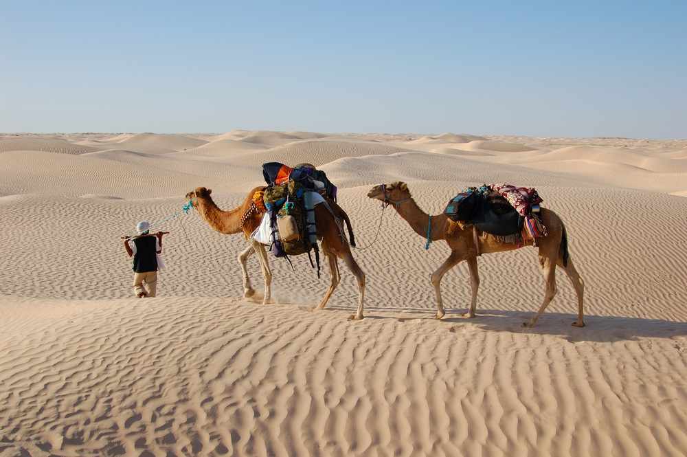 Best Rajasthan Tour Packages for Family, Couples and Solo Travelers