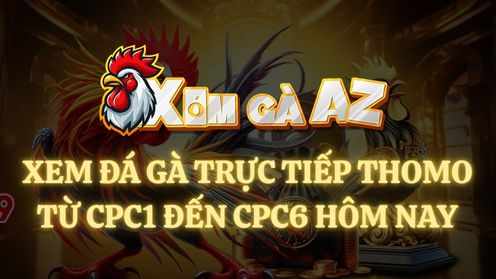 Hot Thomo – Tổng Hợp Các Trận Đấu Hay Nhất Thomo Hàng Ngày Tại XOMGAAZ