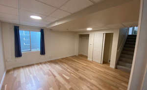 Basement Renovation Superior: A Smart Way to Expand and Improve Your Living Space