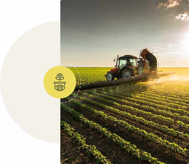 Quality Seeds for Sustainable Farming