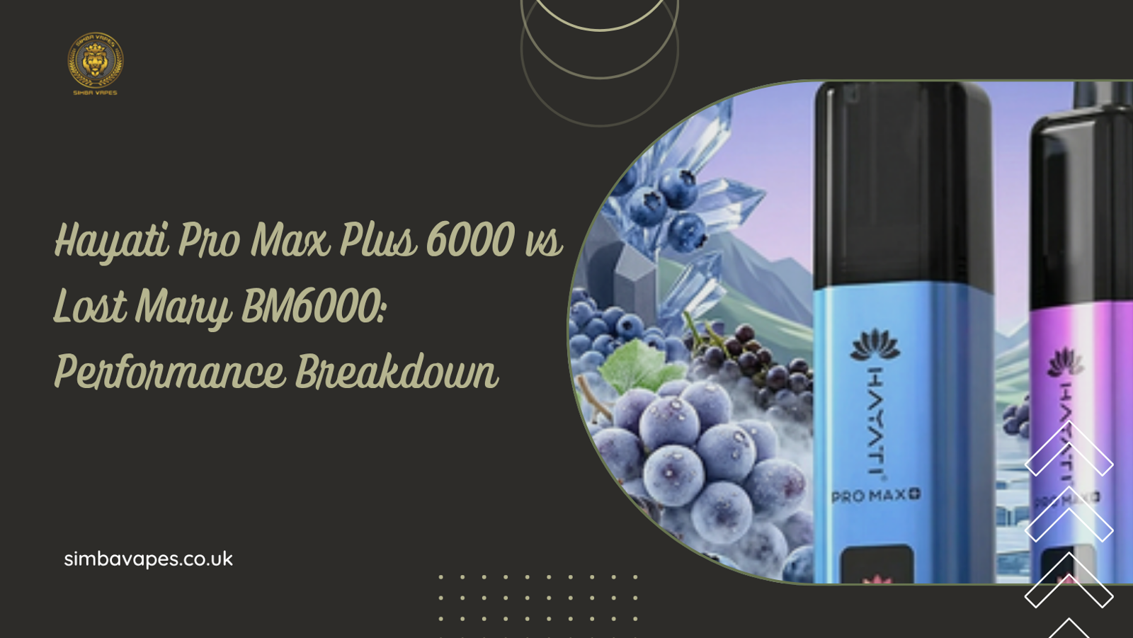 Hayati Pro Max Plus 6000 vs Lost Mary BM6000: Performance Breakdown
