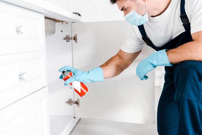 Top Pest Control Company Vero Beach