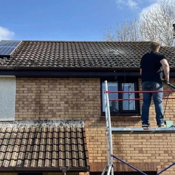 Expert Exterior Cleaning Solutions for Healthier Scottish Homes